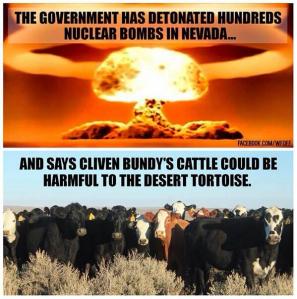 Bundy-ranch
